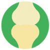 immune-bone immune-bone